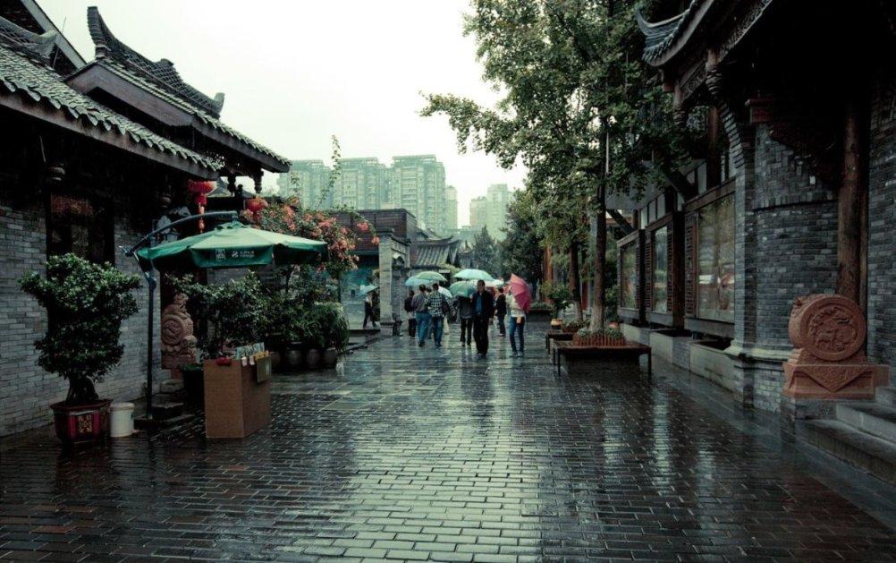可爱的小孔雀救援